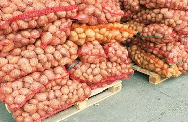 Zambia Bans Potato Imports