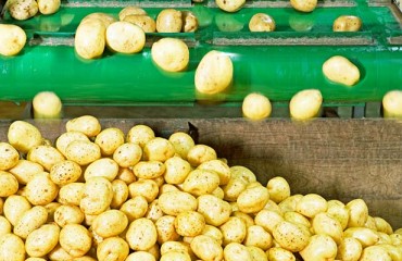Belgians Object Construction of Potato Processing Plant