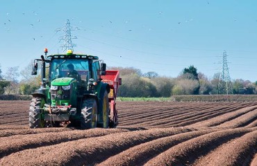 US: Potato Grower Group Rejects Processors' Contract Offer