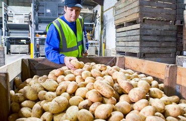 Washington to Pass Strong Farmworker Overtime Laws