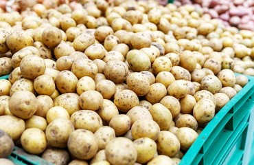 Mexico Lifts Ban on US Potato Imports