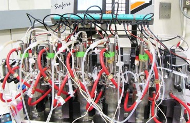 Potato Wastewater Can Feed Recycling Bacteria
