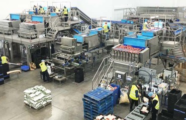 New Haith Line Helps Sam Dennigan & Company Meet Increased Demand