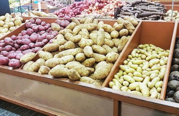 U.S. Potato Sales Drop After a Year of Record Growth