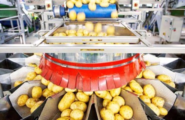 Improving Sorting Efficiency During Production