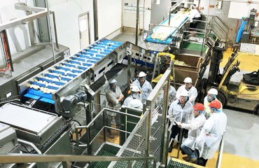 McCain Foods Installs PEF Generator to Reduce Water Waste