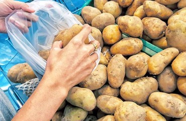 Spanish Potato Prices are Forced Down by Imports and Supermarkets