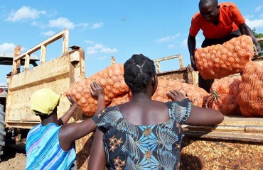 Kenya: Potato Imports by QSRs to Face 30% Duty