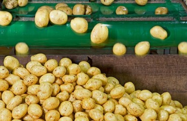 Morrisons to Close Scottish Potato Depot