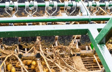 New Seven Ton Bunker Offset Harvester with Additional Haulm Separation System