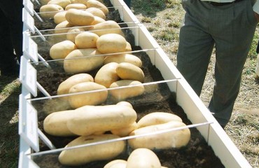 PotatoEurope Innovation Awards 2021 to Still Take Place Despite Cancelled Event