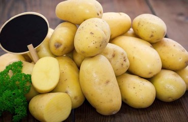 Prices for Potatoes in Germany Dropped in June 2021
