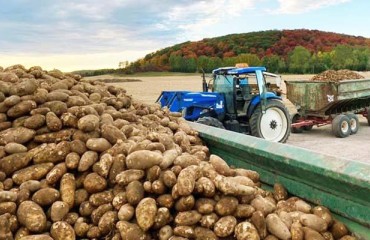 Two More Farms in Québec Parmentier’s Portfolio