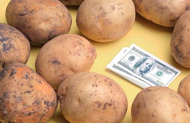 U.S. Potato Imports on the Rise