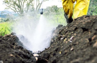 A New Distribution Network for Vive Crop Protection