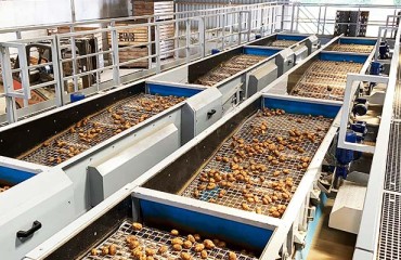 Haith's Grading System Boosts Productivity of Cornwall Potato Grower