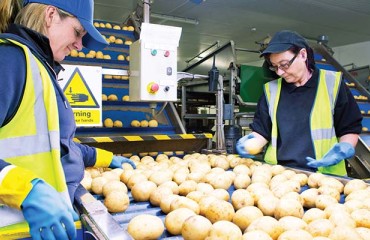 The Art of Moving Potatoes