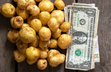 Despite a Year of Crises, The Value of the NZ Potato Industry Sits at USD1bn
