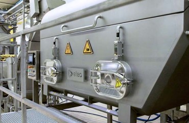 Pulsed Electric Fields (PEF) Applications in the Snack Industry
