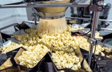 USD 110.5m PepsiCo Investment in Indian Greenfield Potato Chips Plant