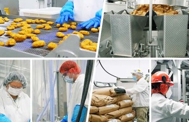 McCain Invests EUR17m in its Béthune Plant