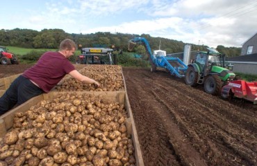 Irish Farmers’ Association Reports Improved Retail and Consumer Demand