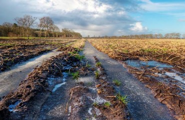 South Africa: 22% More Expensive Potatoes due to Icy Weather in Limpopo