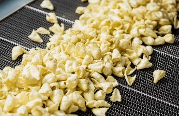 Extrusion Equipment Innovations for Potato Snacks