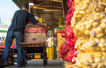 Irish Farmers' Association Reports Reduced Potato Consumption