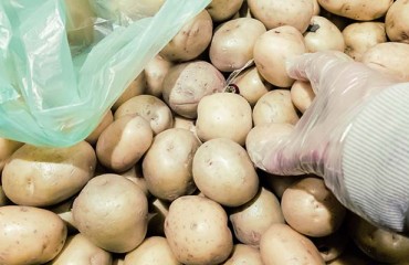 French Potato Household Purchases Register 0.9% Decline