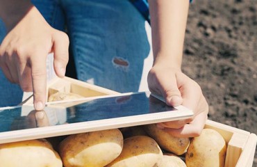 US Fresh Potato Retail Sales Reach USD3.1bn for the July 2020 - June 2021 Year