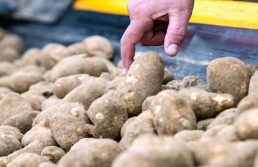 PotatoEurope 2022 Open for Registration