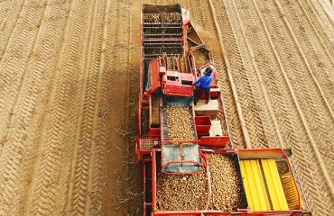 Leading US Tri-state Potato Sales in 2020 Seen at USD1.82bn