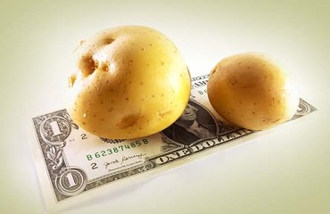 SA Potato Prices Decelerating
