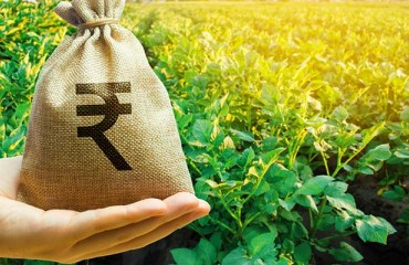 India: Kolkata Government Subsidizes Inter-state Potato Trade Transport and Export