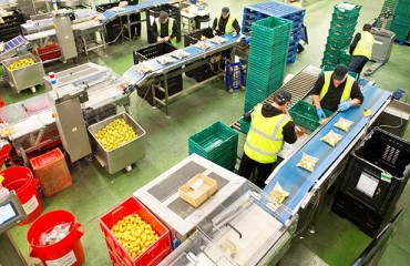 Pocatello Airport to Host a Cold Storage Facility that Includes Fry, Dehy Processing Lines
