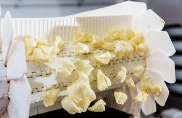 Production at a Bosnian Potato Chips Factory Halted