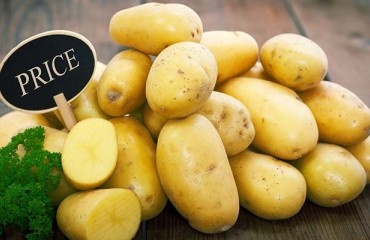 Increased Input Costs Faced by the European Potato Growers and their Influence on Trade