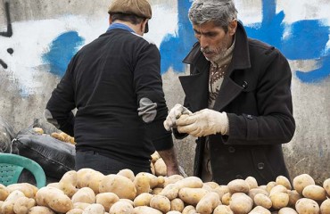 Russia: Affordable Prices for Potatoes Coming from Kyrgyzstan, Moldova, and Iran