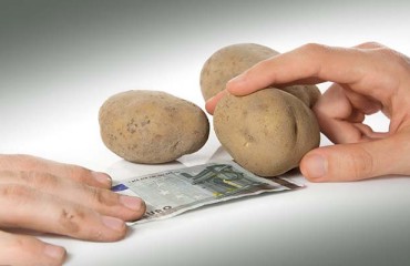Prices for the European Fresh Potato Sector are ‘Holding’