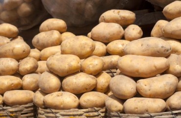 Nigeria Aims to Become a Top Three Potato Producing Country by 2025