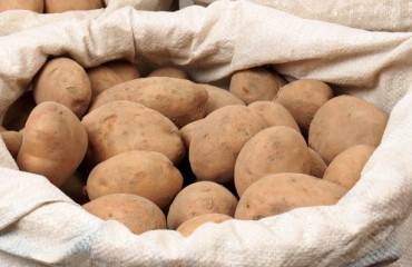 Europe: Potato Promotions are Generating More Demand