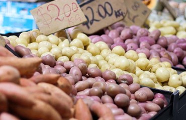 Lower Yield, Higher Prices for US Potatoes