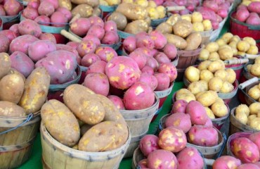European Potato Markets Fear that Restrictions May Be Enforced Again