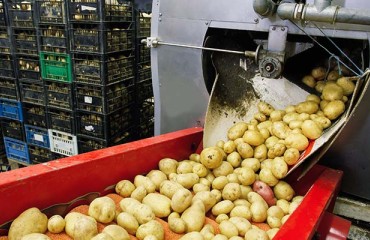 Preventing Foreign Bodies from Contaminating the Potato Product