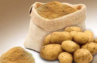 EUR66m Investment in Solanic Potato Protein Capacity