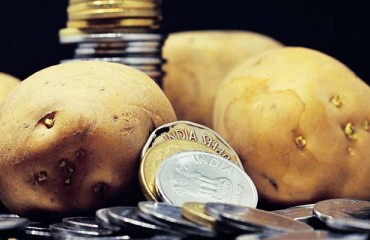 Increase in Demand for Processed Potato-based Products