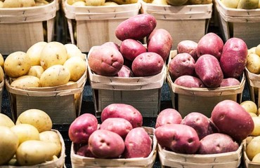 Canadian Potato Production Falls by 18% in 2021