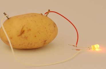 Solar Power Systems for Maine Potato Companies