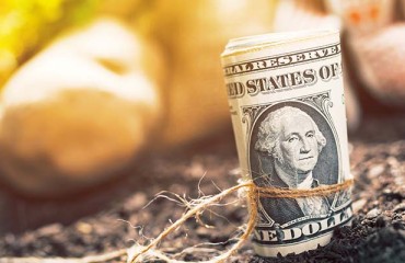 USD5,2m for Potatoes USA’s Promotional Efforts in Target Markets